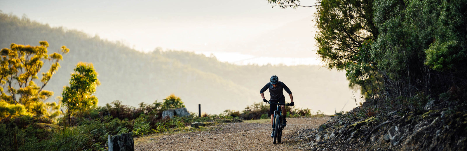 Electric Mountain Bikes